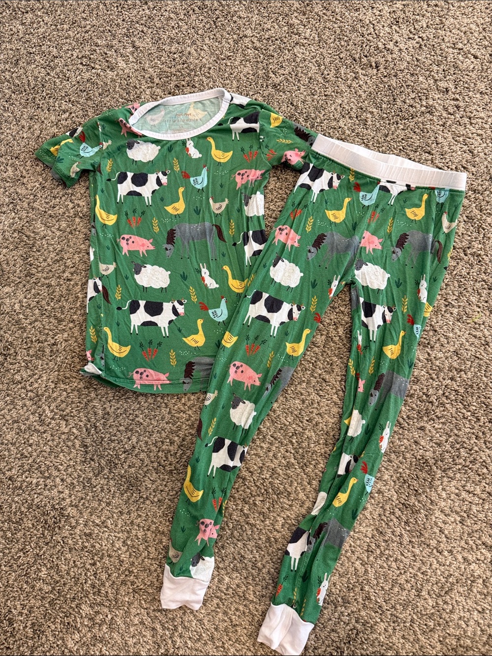 Little sleepies Green Farm Animal Pajama Set